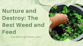 'Video thumbnail for Nurture and Destroy: The Best Weed and Feed'