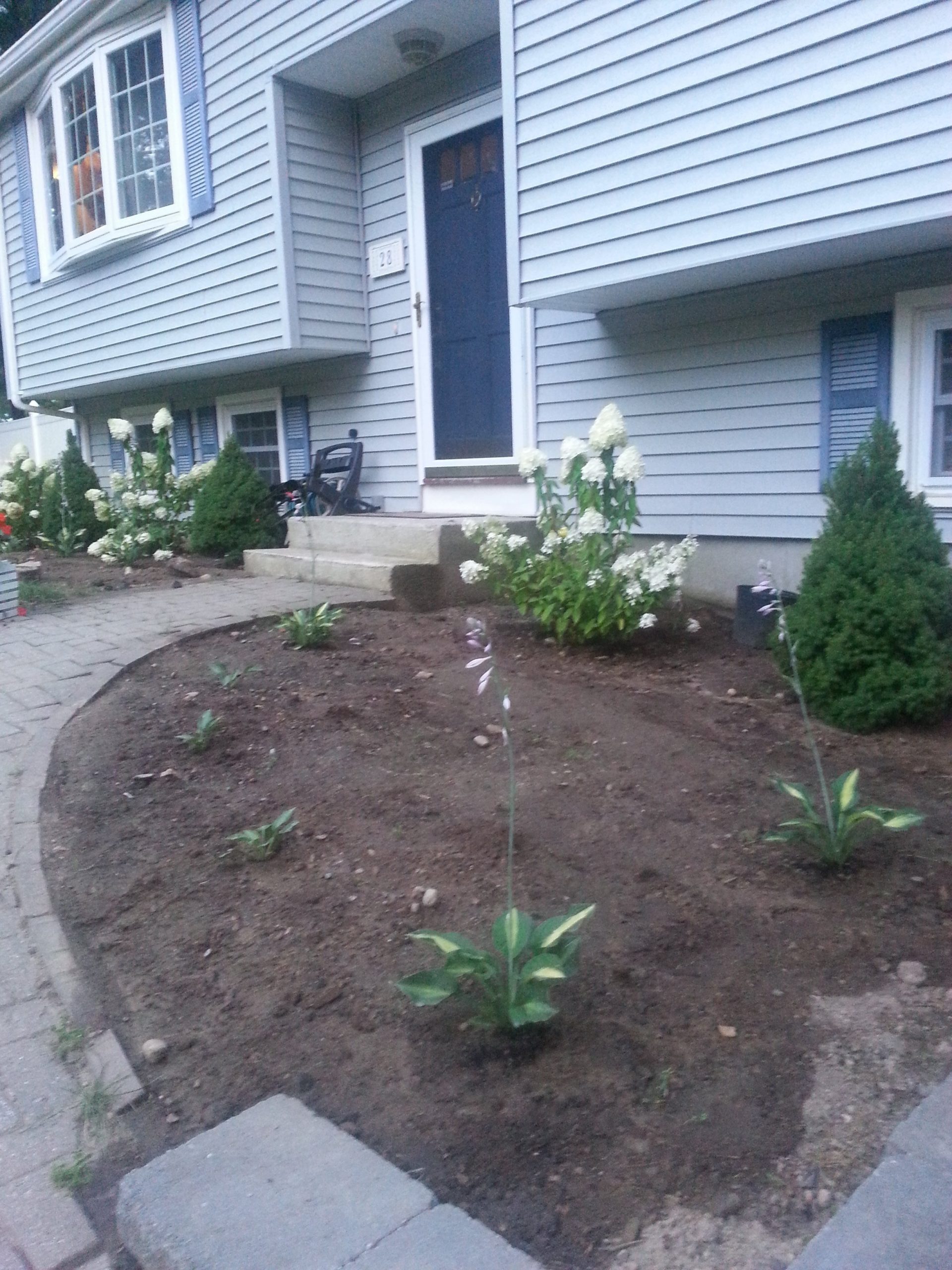 20150727 200725 scaled | front yard renovations