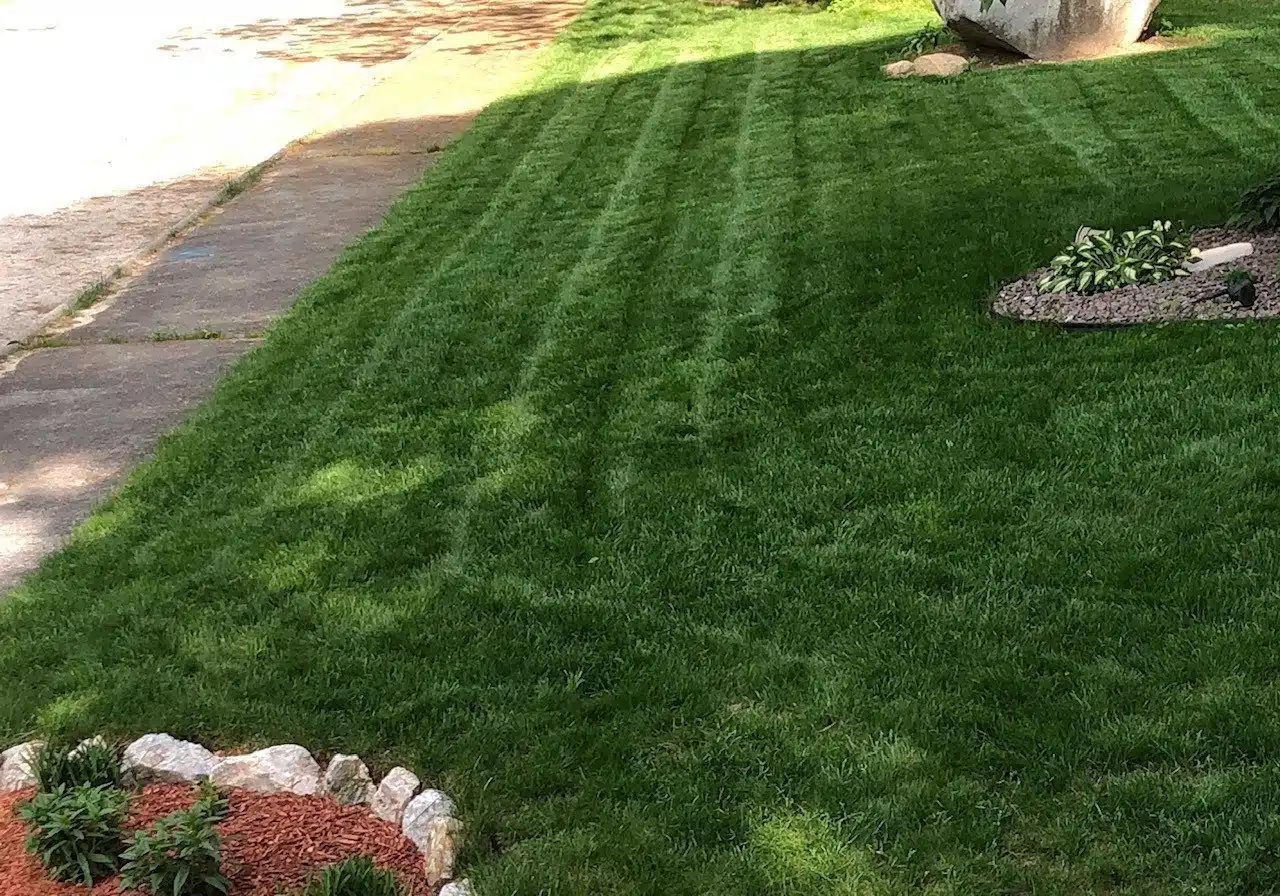frontyard-front-slope-2018