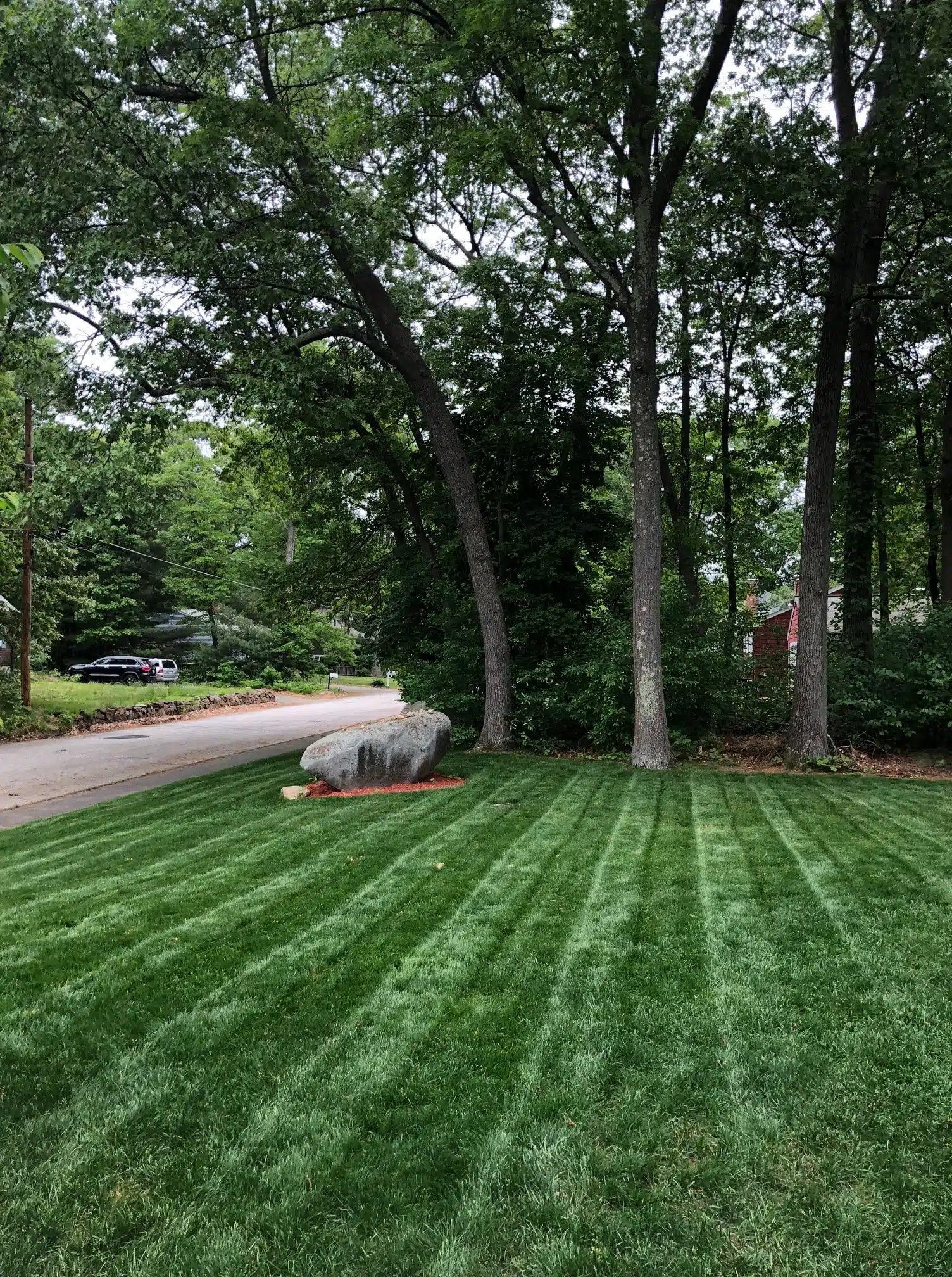frontyard-rock-2018-green-lawn