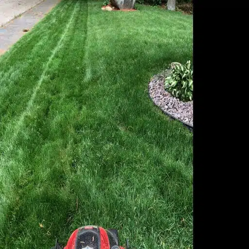 frontyard-toro