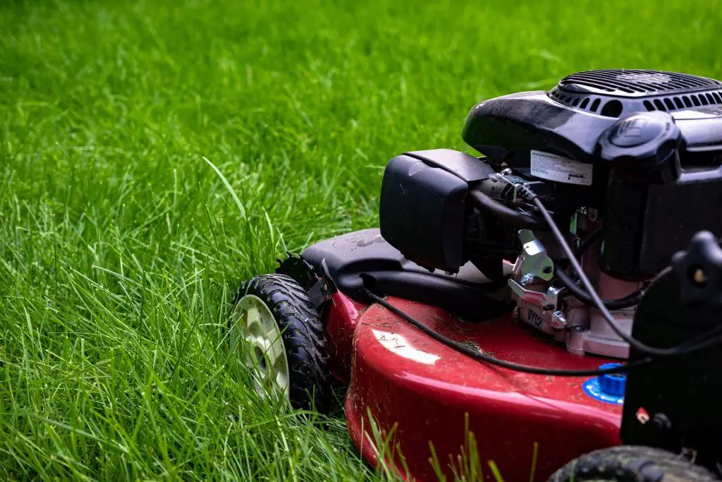 Side view lawn mower | how to overseed a lawn (a simple step-by-step guide to overseeding)