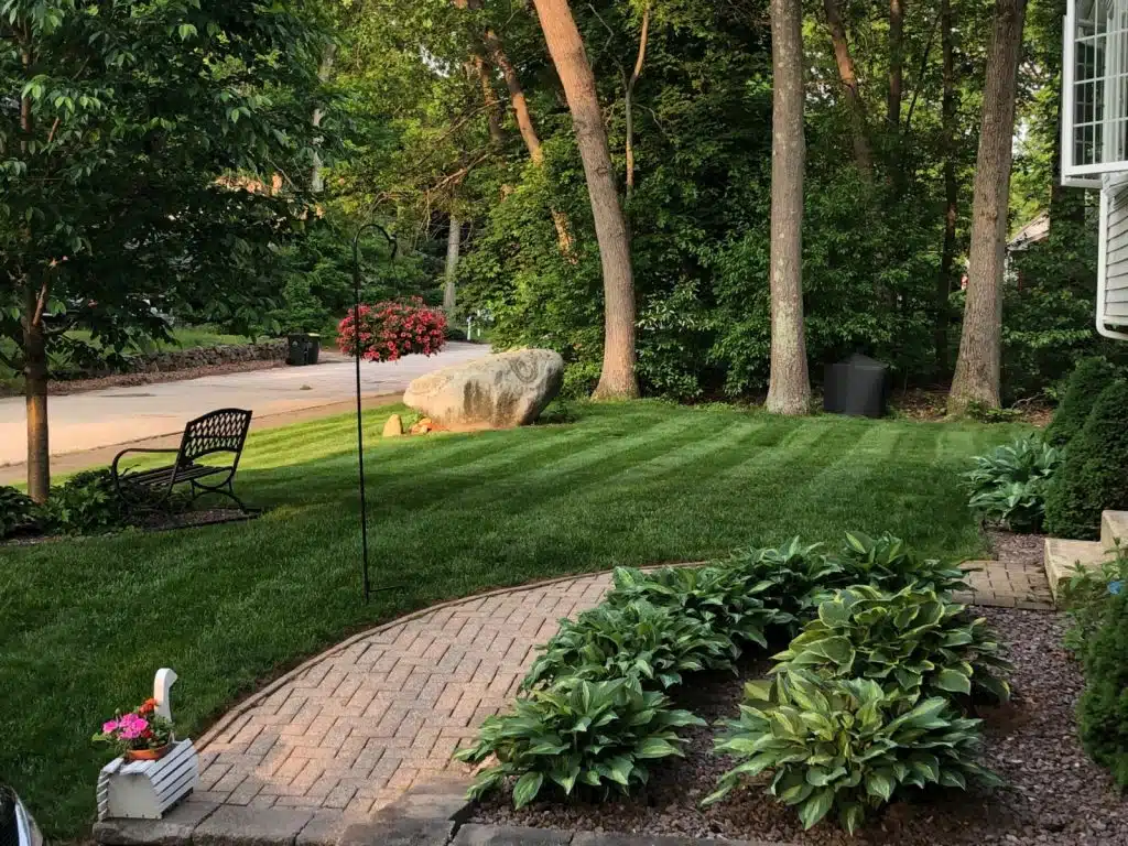 Lawn stripes