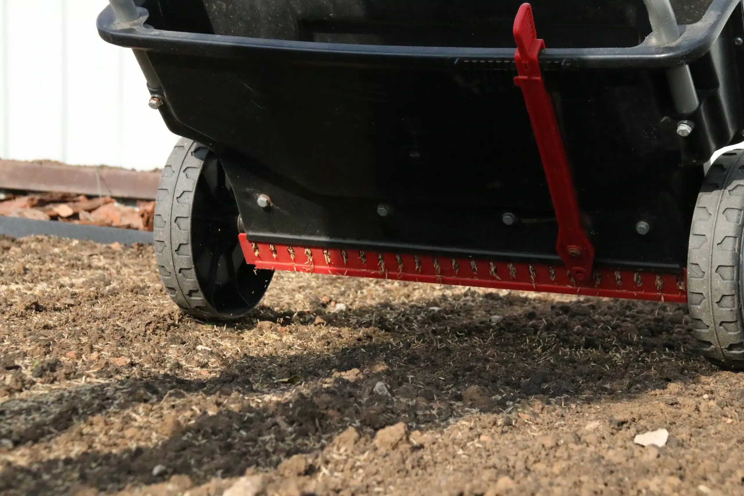 Sowing lawn grass seed with a drop spreader