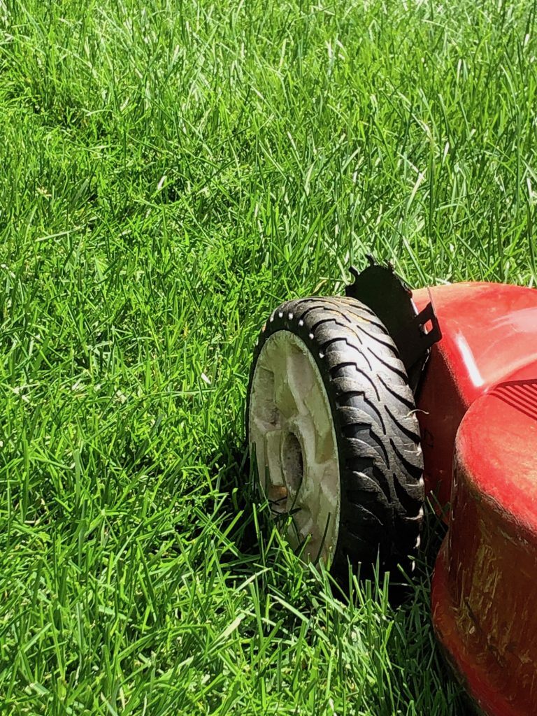 lawn mower cutting one-third grass