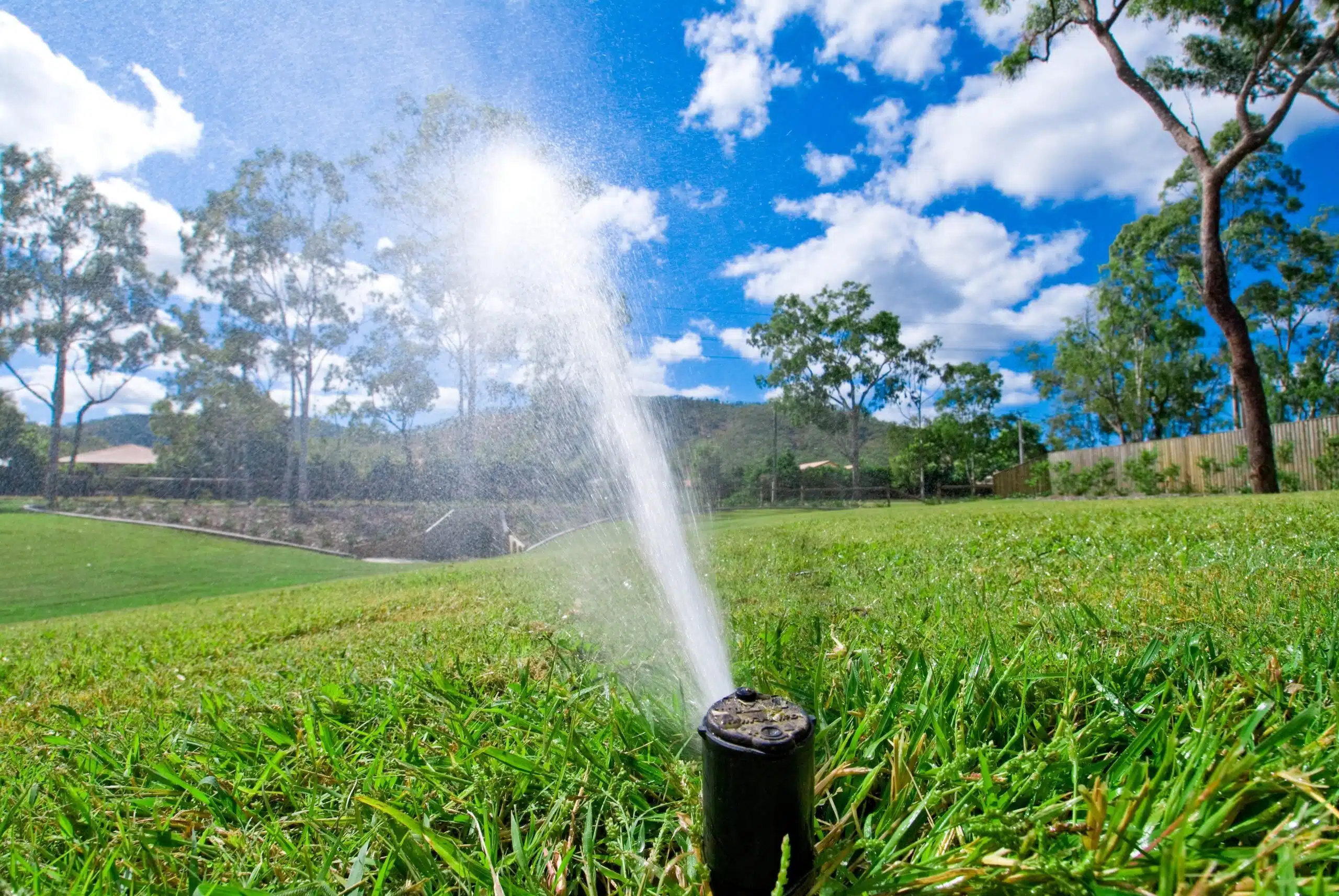 Sprinkler watering lawn grass in summer