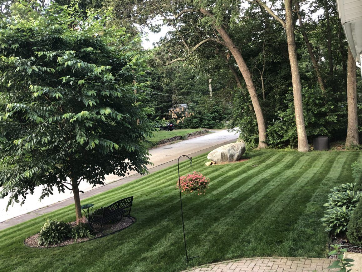 Jonathan Green July 2019 Show Us Your Lawn Contest Winner