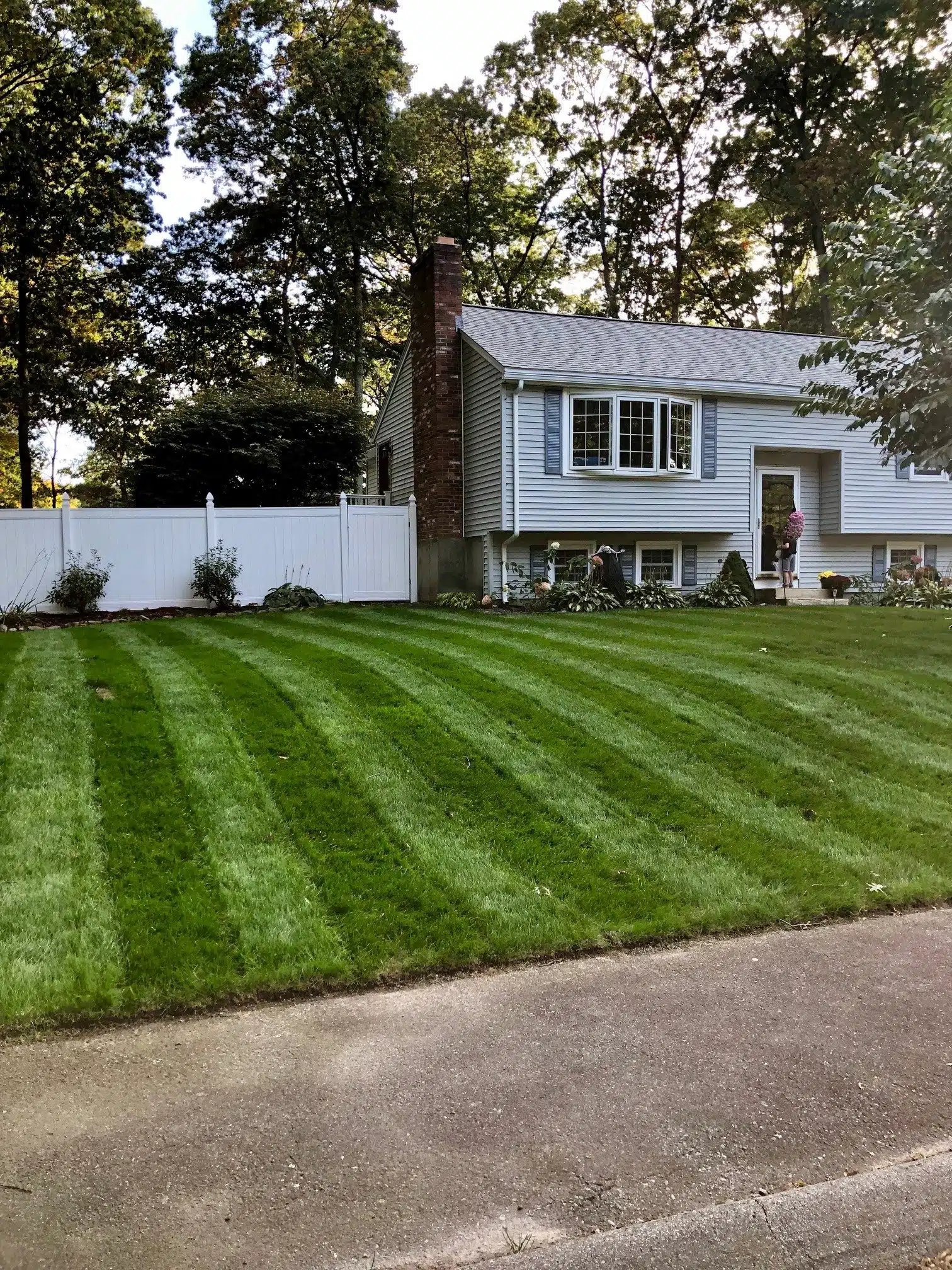 fronyard-lawn-renovation-october-13