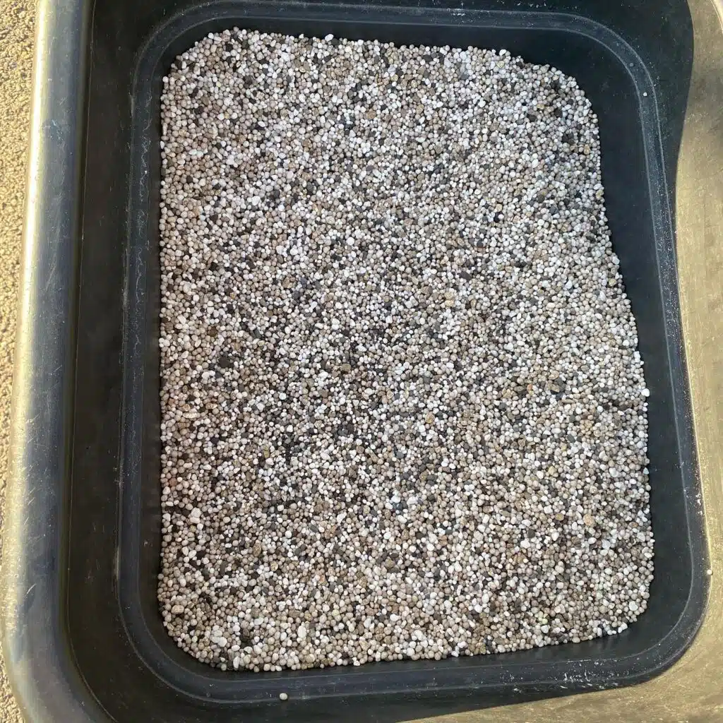 Carbon Phix Lawn Fertilizer in Spyker Spreader
