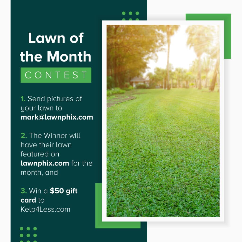 Lawn-of-the-Month-Graphic