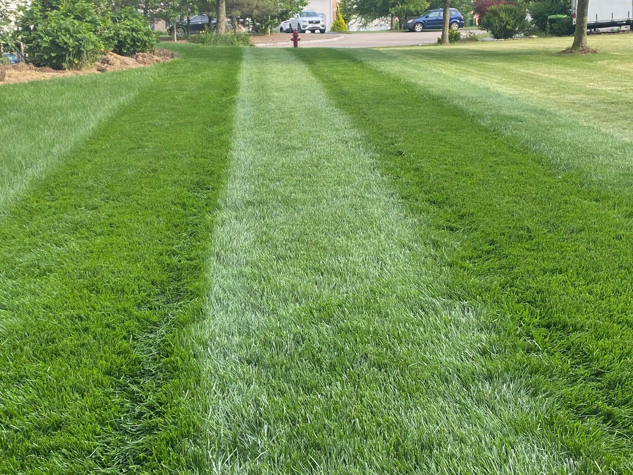 lawn care bellingham ma kensington