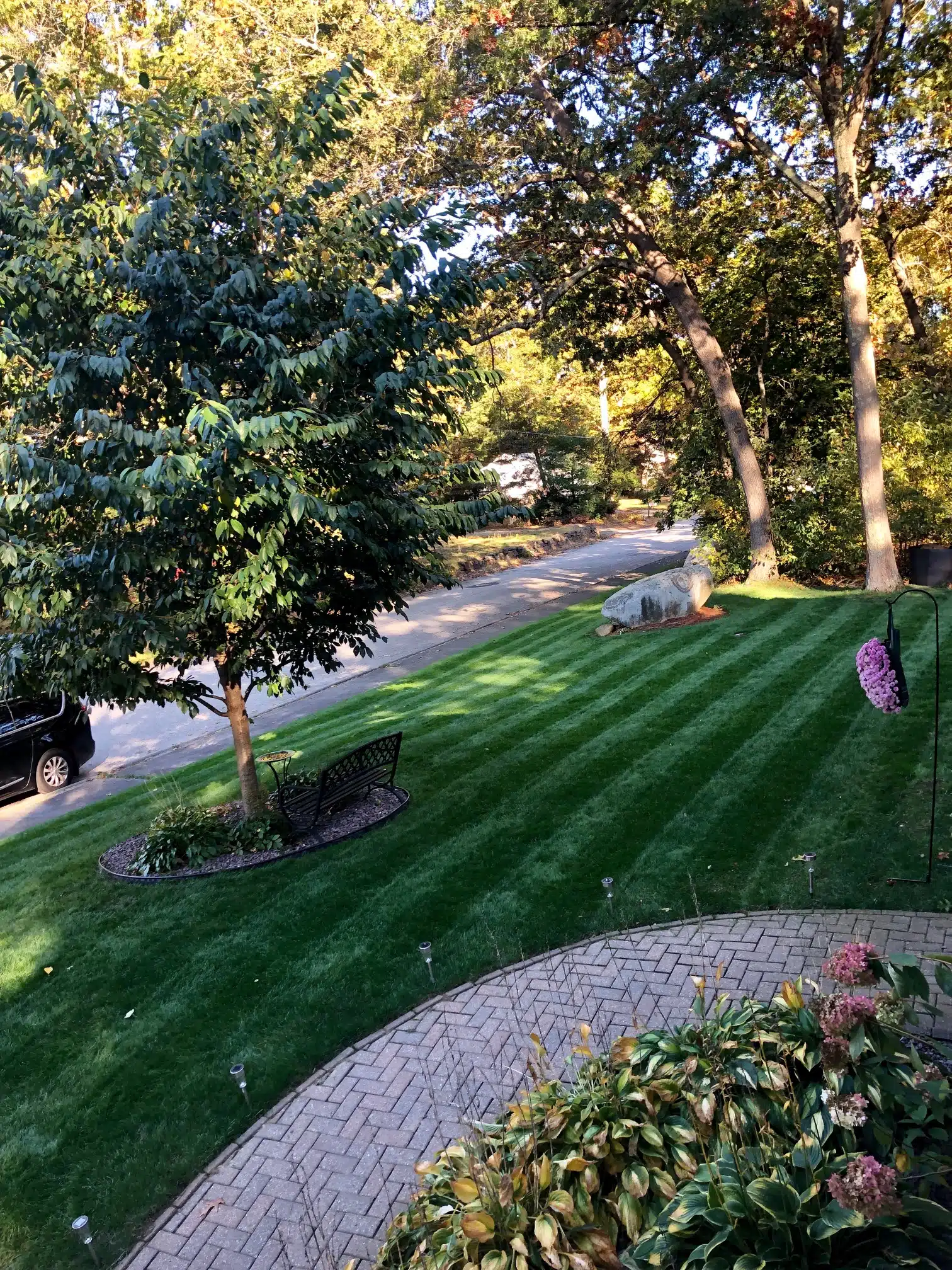 awesome lawn stripes