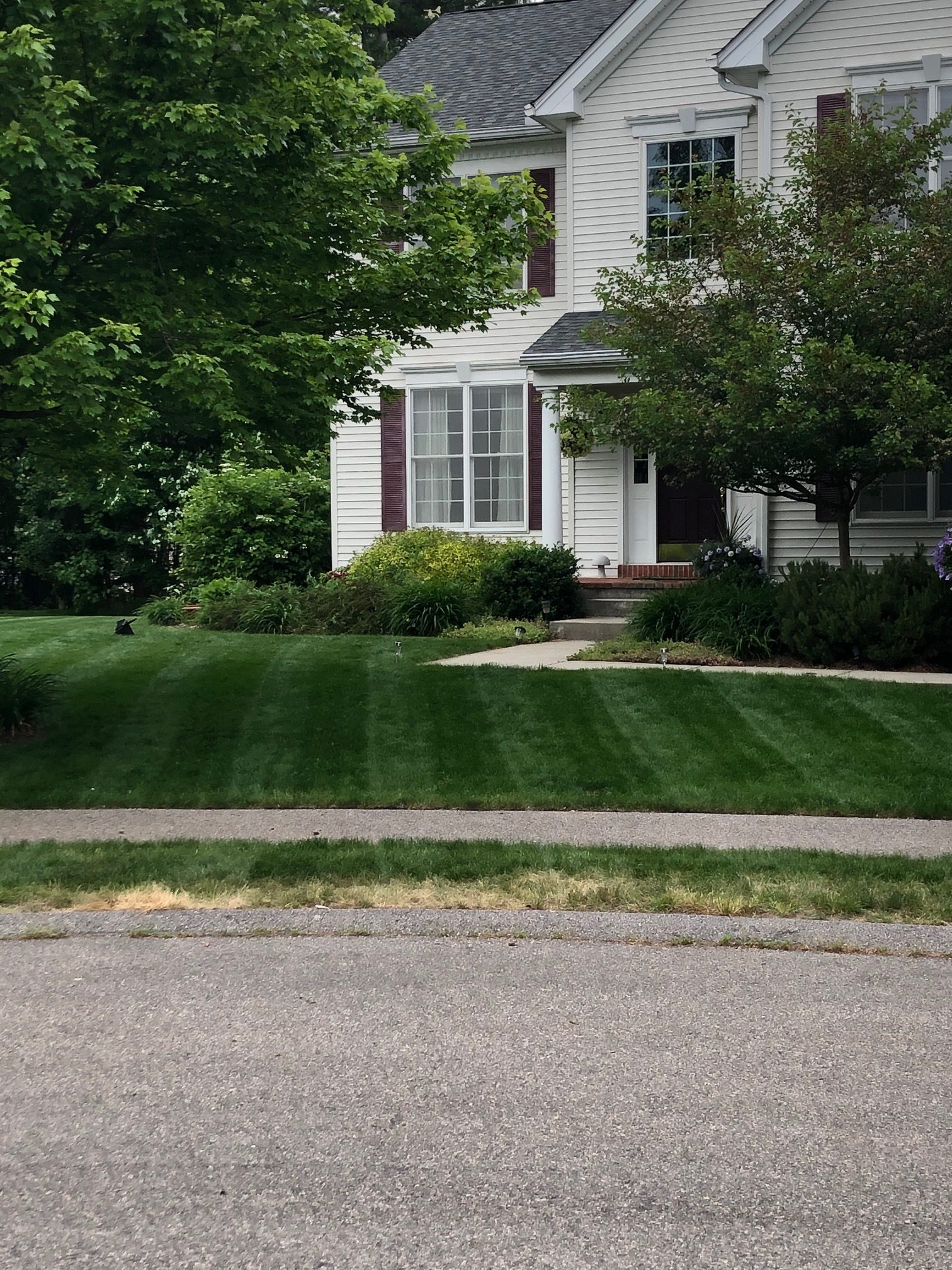 Lawn care bellingham ma front grass stripes