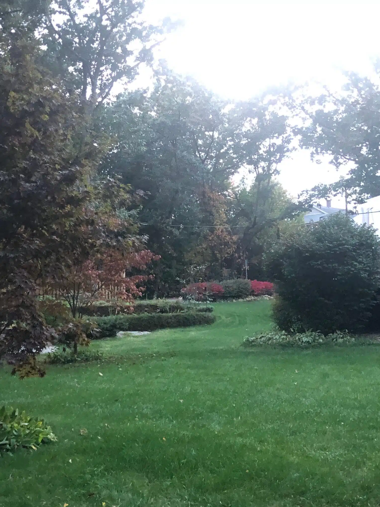 lawn care bellingham ma dan 3
