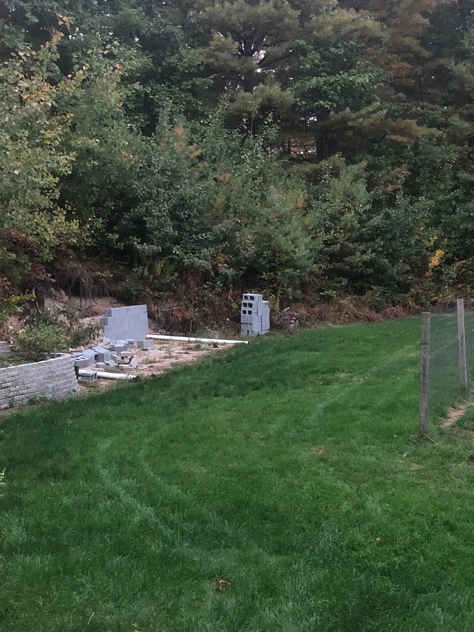 lawn care bellingham ma dan