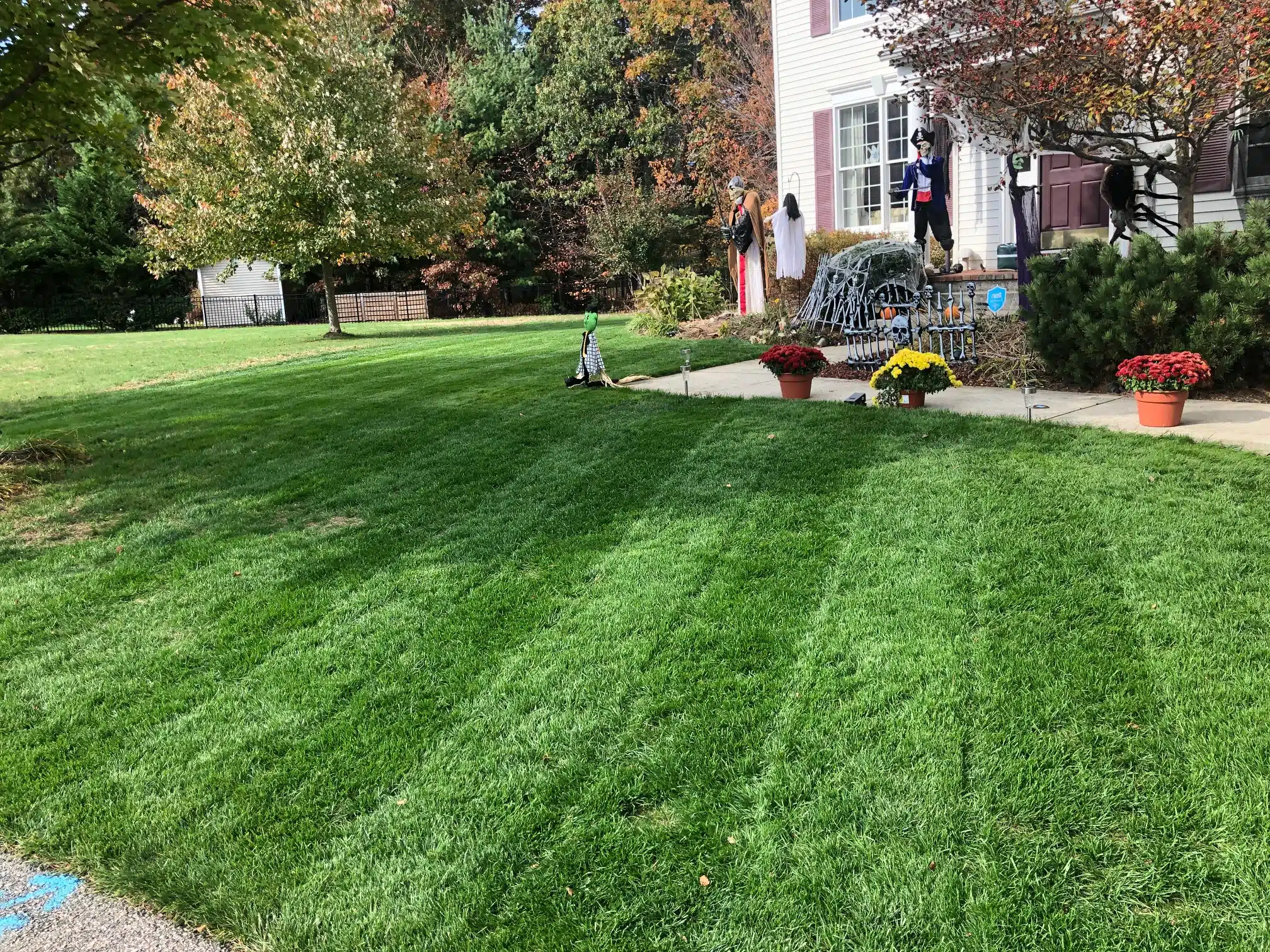 lawn care bellingham ma frontyard