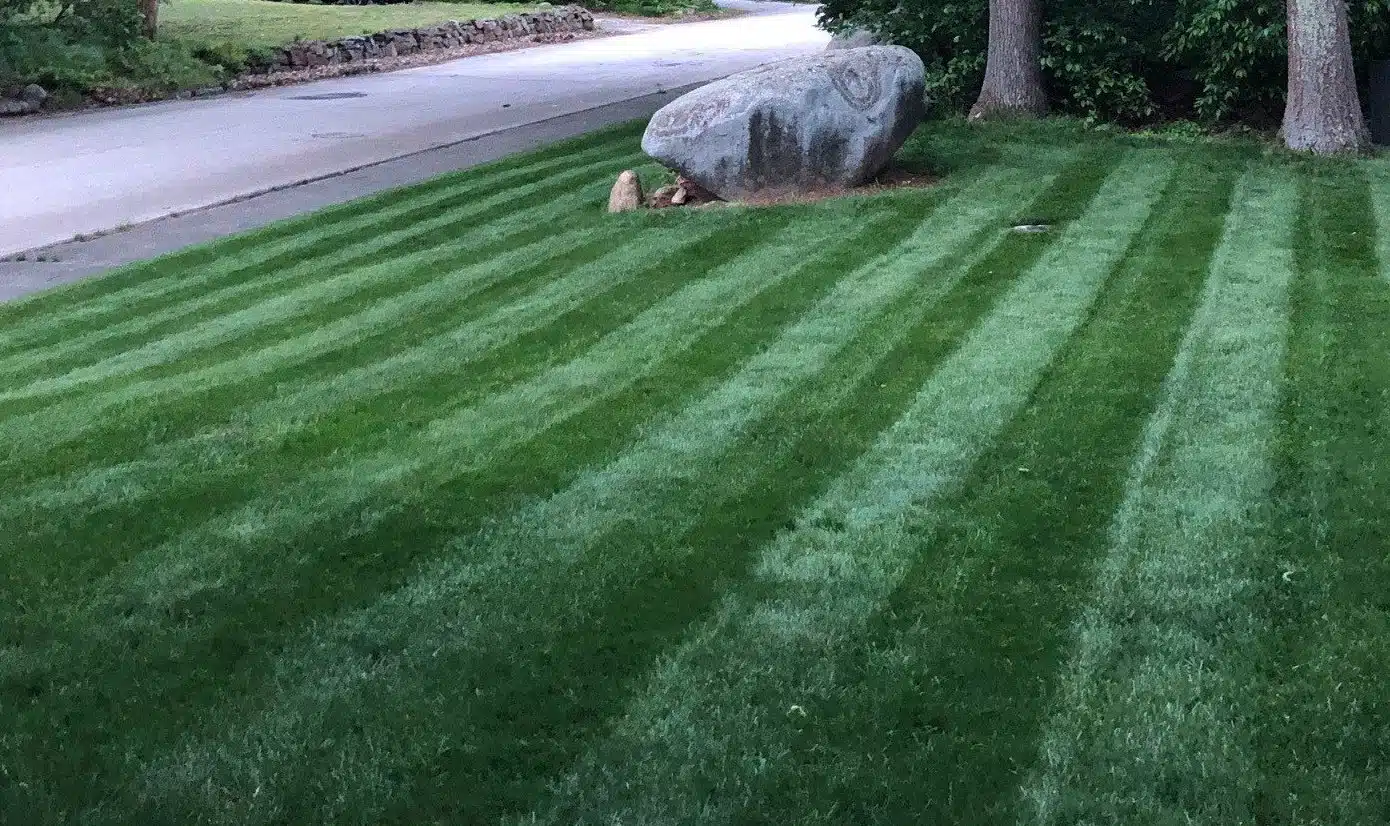 lawn care services bellingham ma overlook