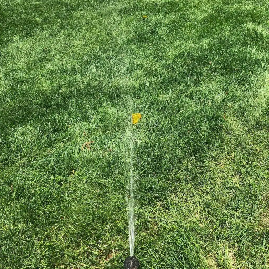 watering grass lawn