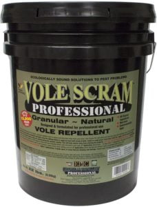 Vole scram vole repellent | how to get rid of voles in lawn