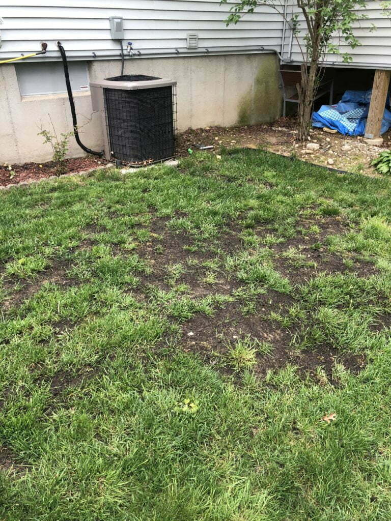 Sand mixture leveld lawn 1 | what type of sand for lawns? (leveling + top dressing)
