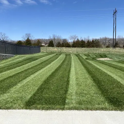 Tanner lotm perfect lawn