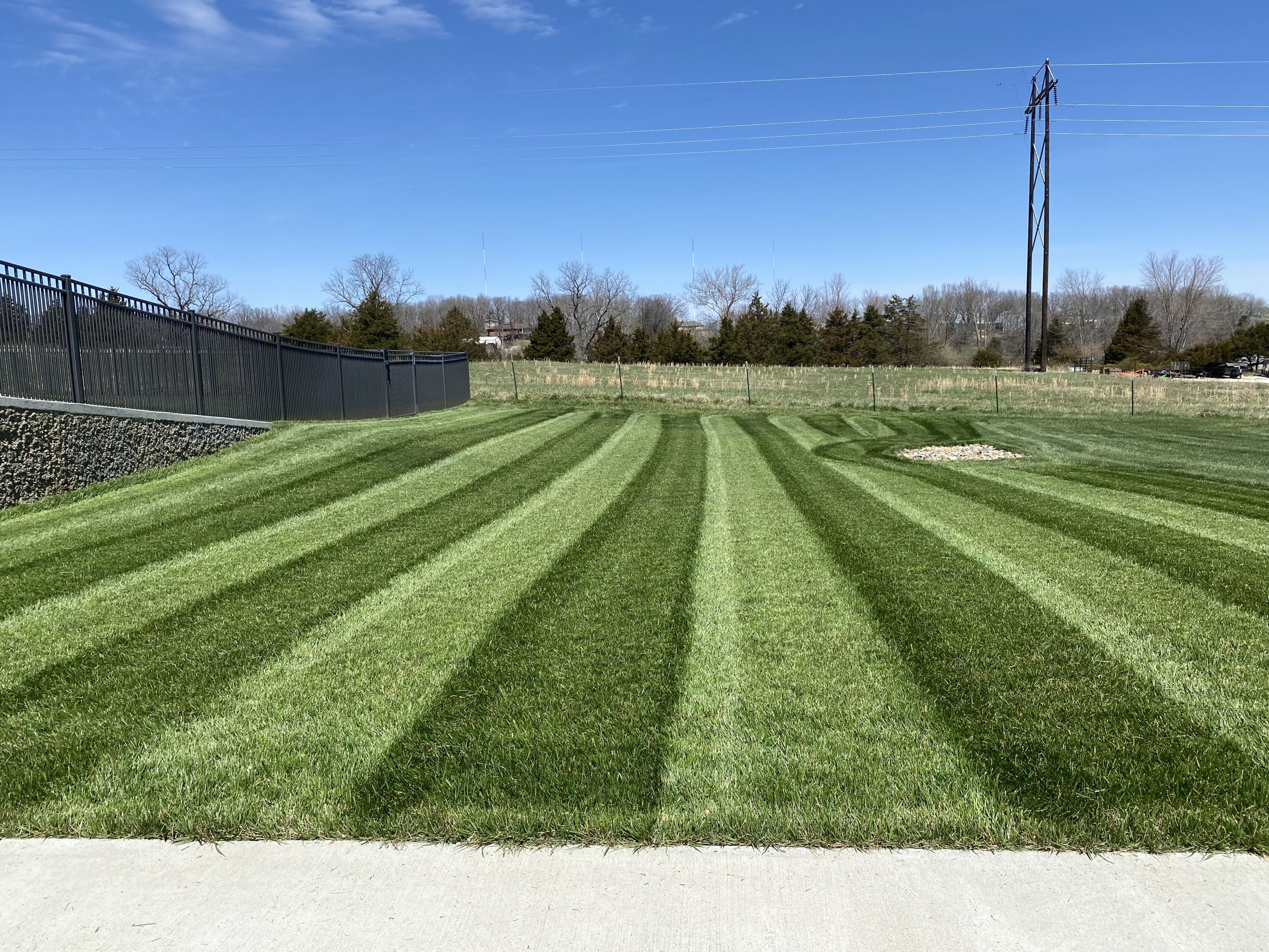 Tanner LOTM Perfect Lawn