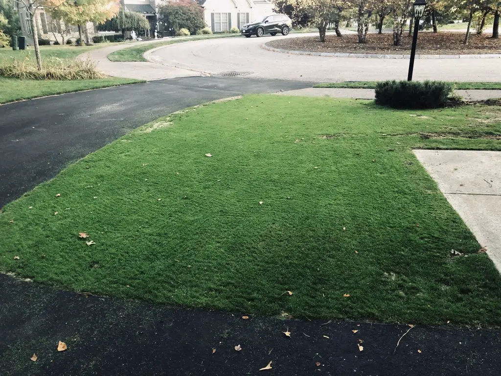Chipping green | the best lawn fertilizers for grass (updated november 2022)