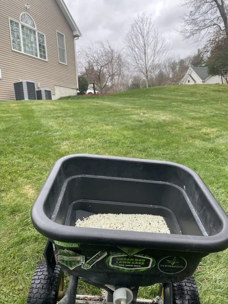 The_Andersons_24-0-8_fertilizer_spreading_on_lawn