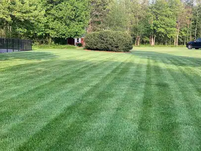 Franklin MA lawn