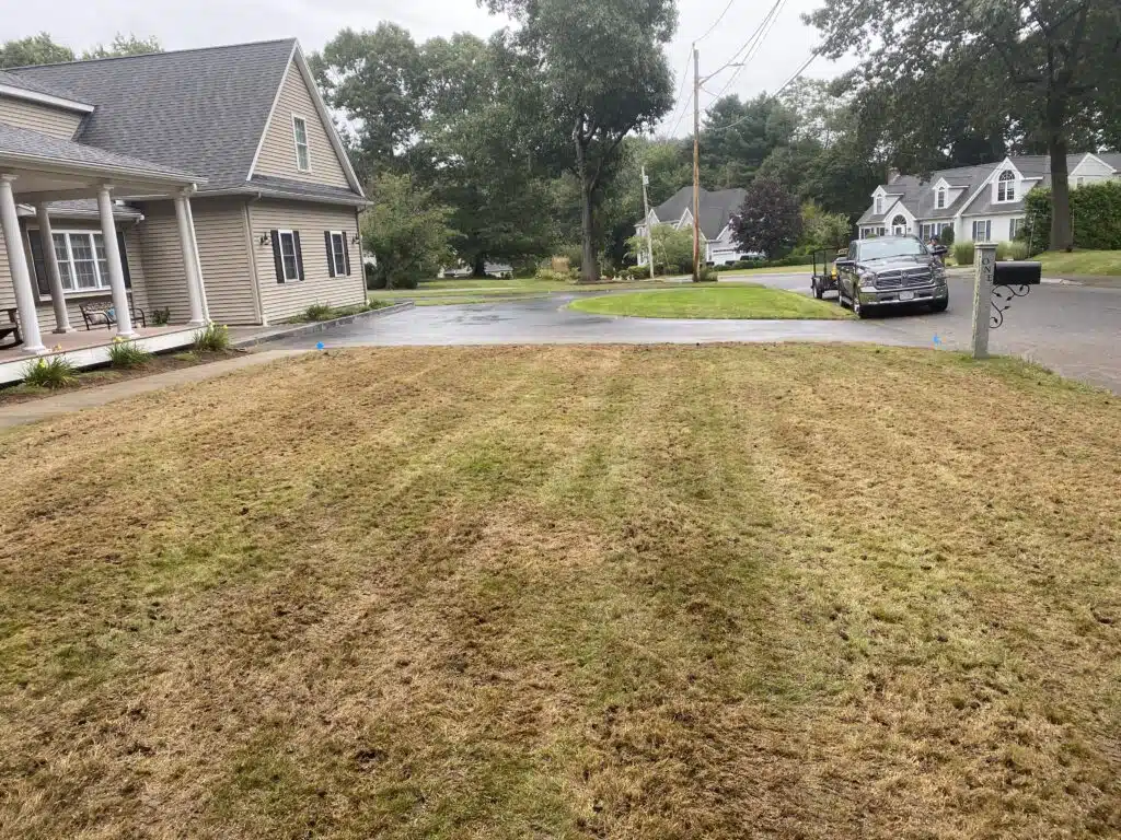 September 23 bentgrass scalped all
