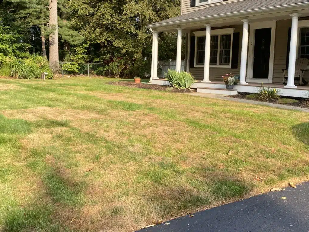 September 9 bentgrass front