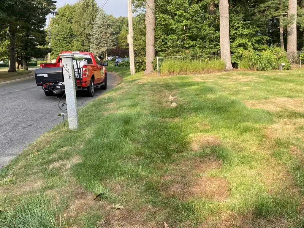 September 9 bentgrass kill