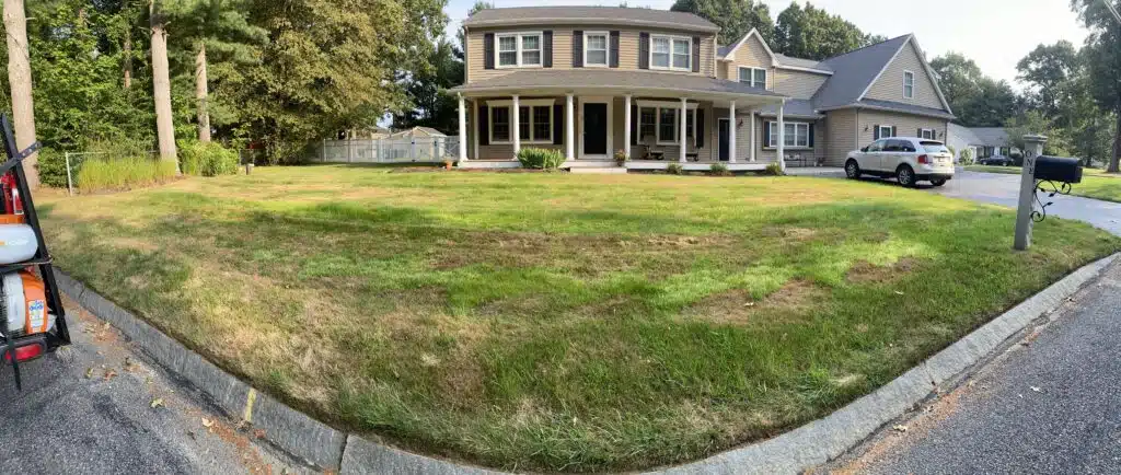 September 9 bentgrass pano