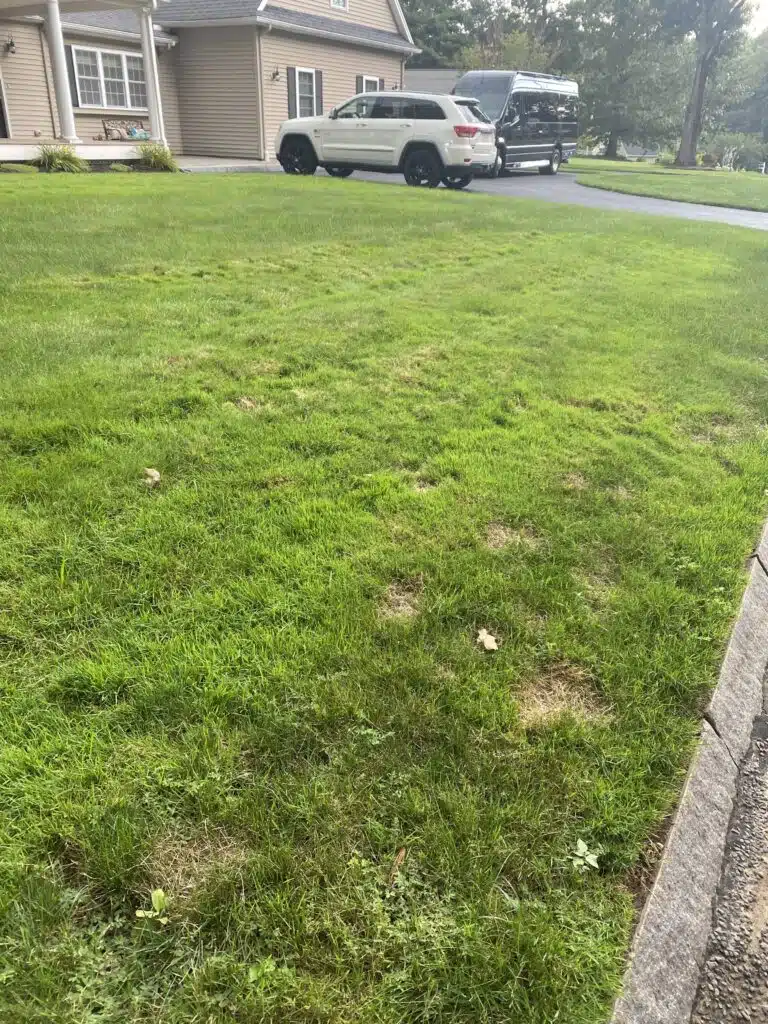 aug 18 bentgrass front
