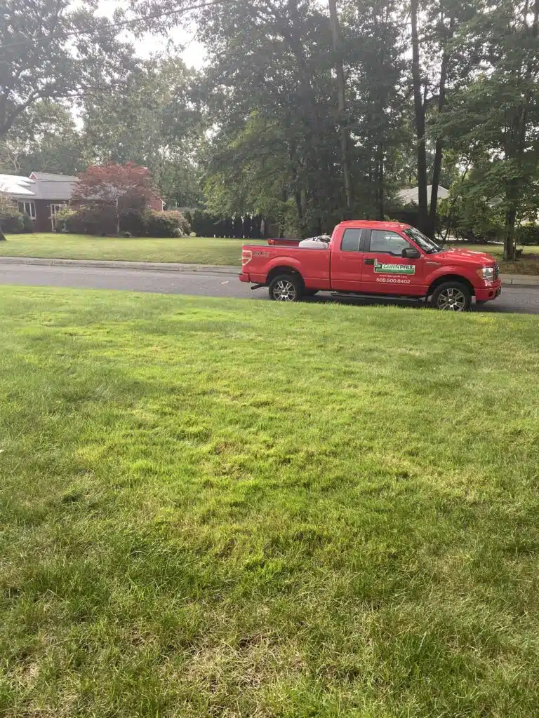 aug 18 bentgrass lawn phix
