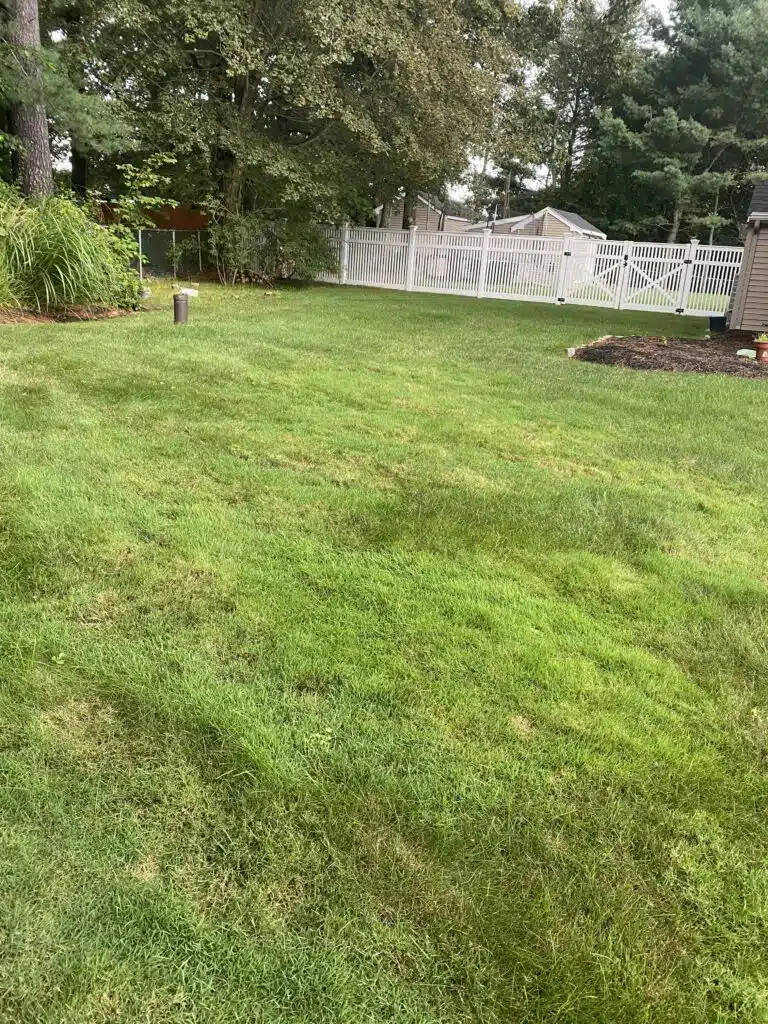 aug 18 bentgrass side