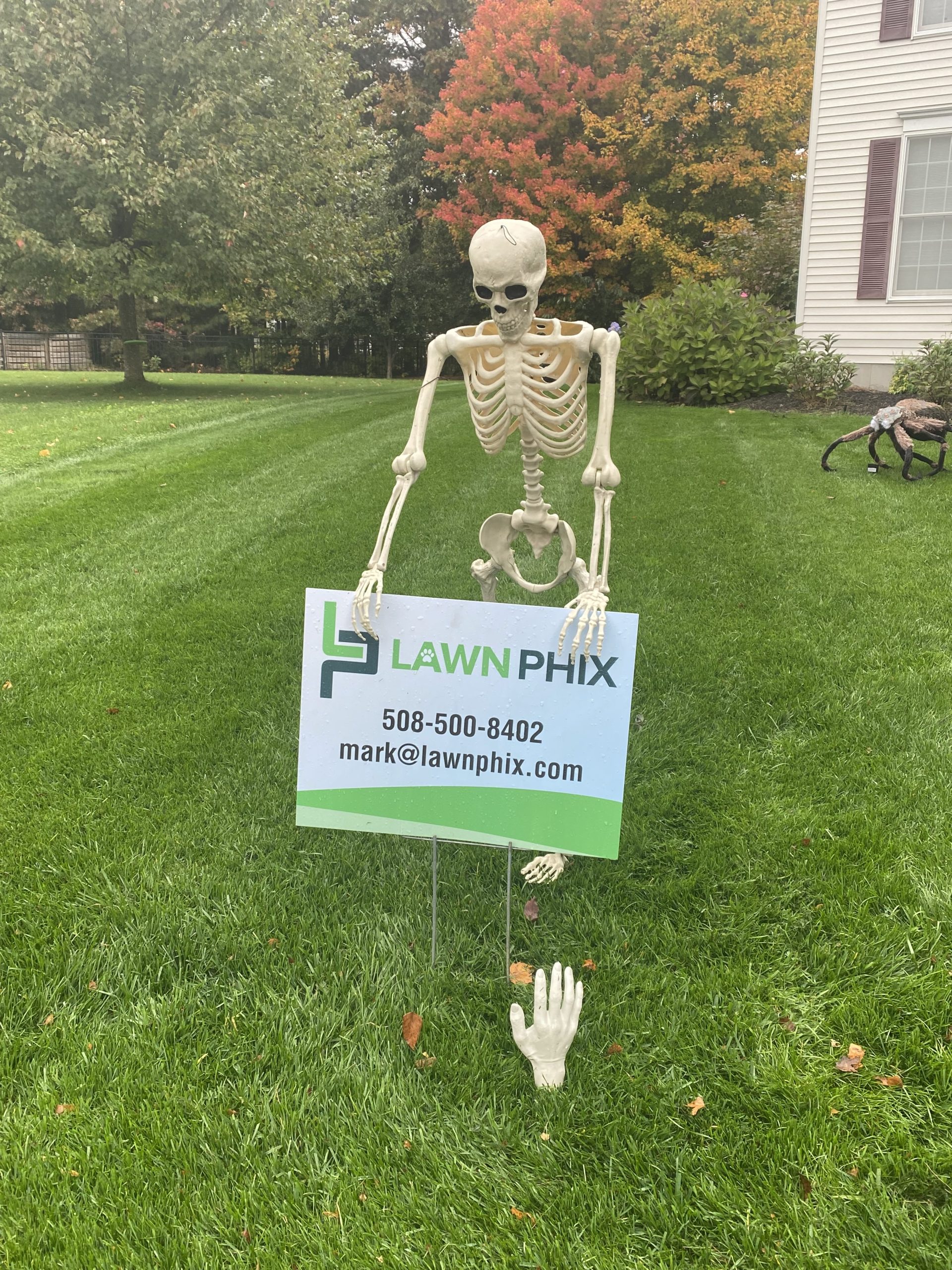 lawn_phix_yard_and_sign_with_halloween_skeleton