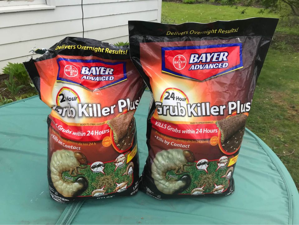 Bayer Advanced 24 hour grub killer 1