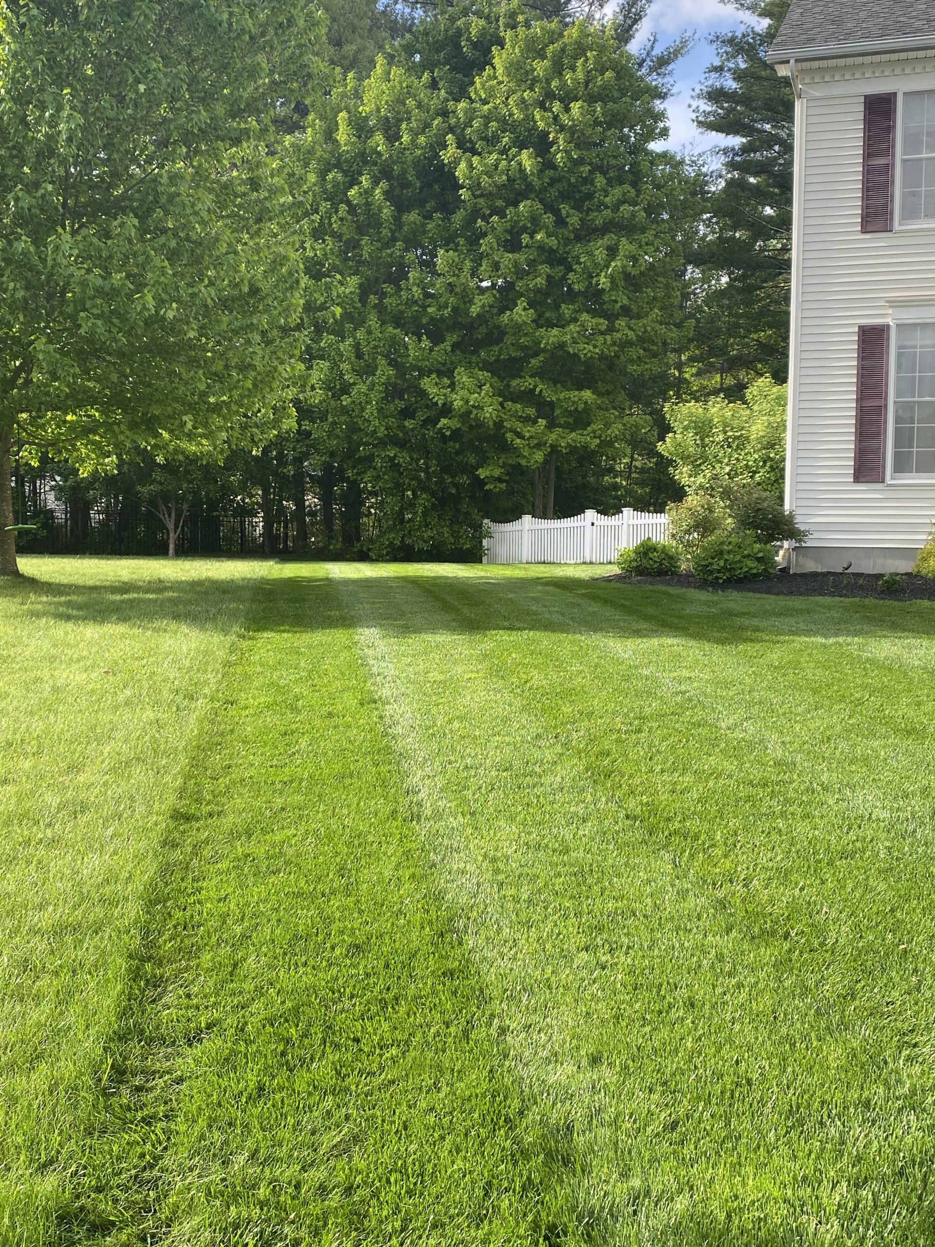 Spring_Lawn_Care_Pre-Emergent_Tips