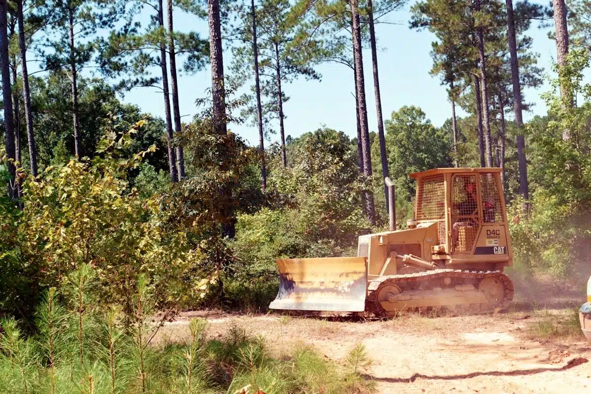 Machine clearing brush from a lot