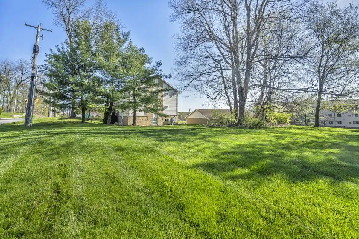 Weed-free residential lawn
