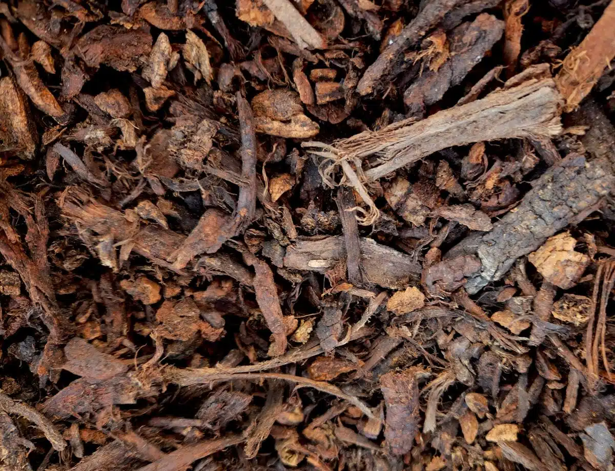 Top-dressing material for turf