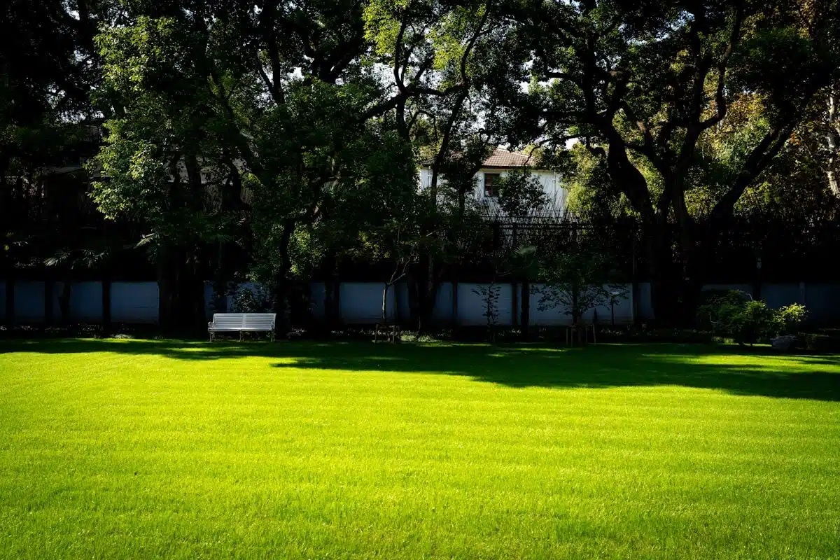 Tidy lawn and garden