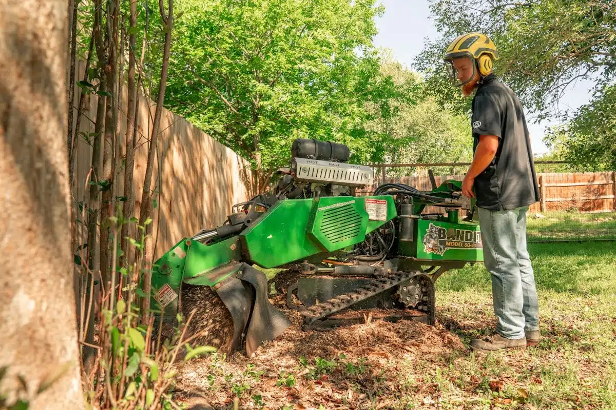 Stump grinder removing a stump